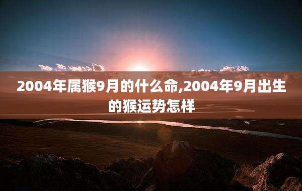 2004年属猴9月的什么命,2004年9月出生的猴运势怎样