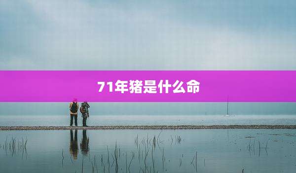 71年猪是什么命