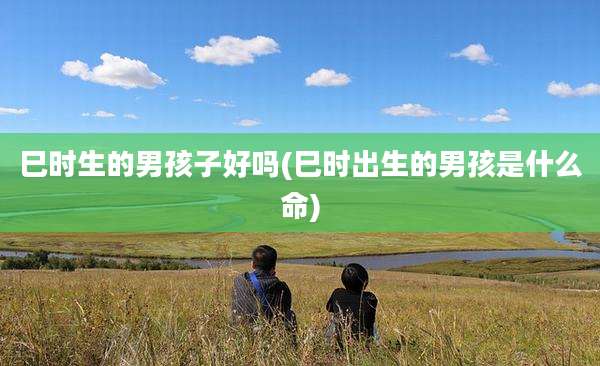 巳时生的男孩子好吗(巳时出生的男孩是什么命)