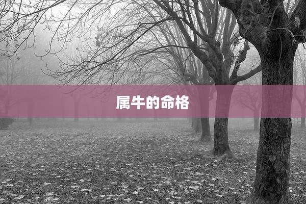 属牛的命格