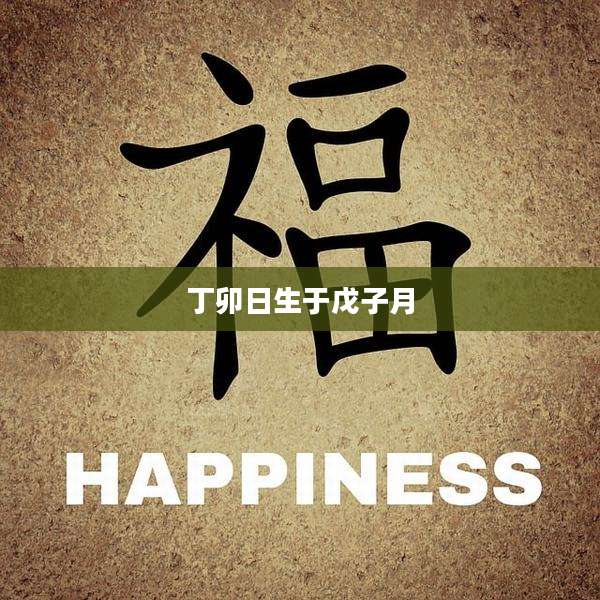 丁卯日生于戊子月