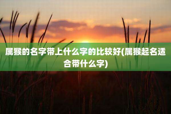属猴的名字带上什么字的比较好(属猴起名适合带什么字)