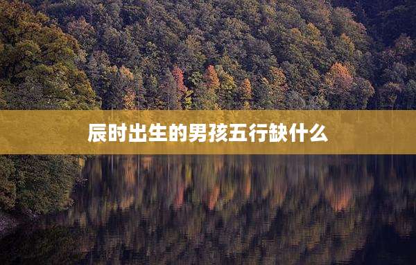 辰时出生的男孩五行缺什么