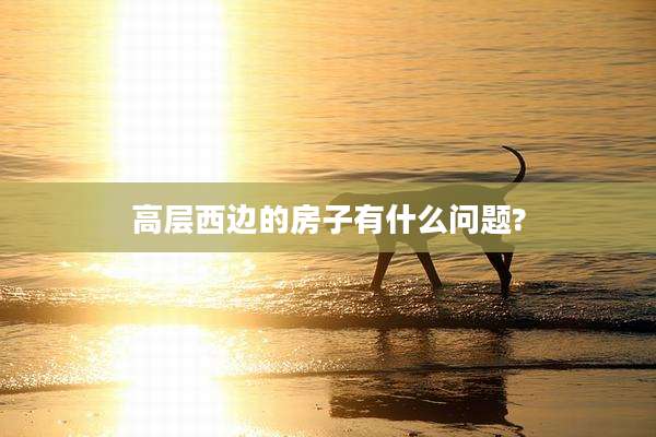 高层西边的房子有什么问题?