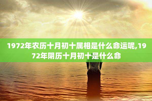 1972年农历十月初十属相是什么命运呢,1972年阴历十月初十是什么命