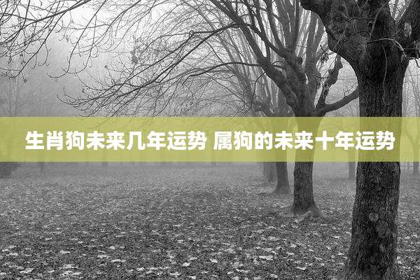 生肖狗未来几年运势 属狗的未来十年运势