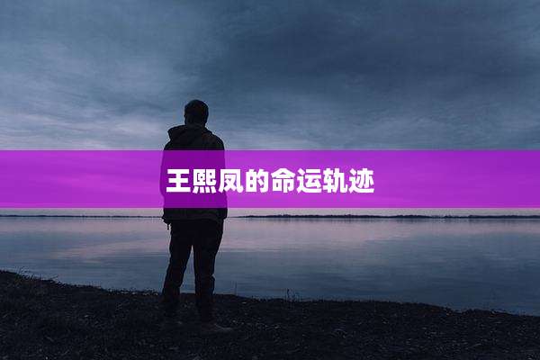 王熙凤的命运轨迹