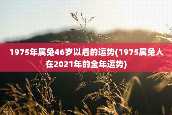 1975年属兔46岁以后的运势(1975属兔人在2021年的全年运势)