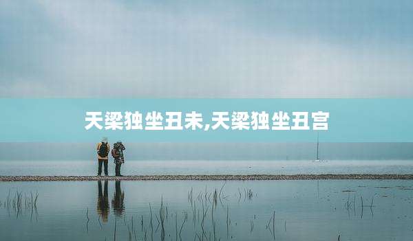 天梁独坐丑未,天梁独坐丑宫