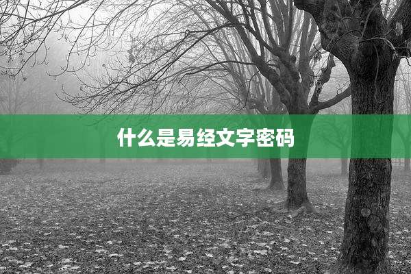 什么是易经文字密码