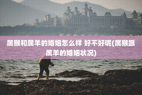 属猴和属羊的婚姻怎么样 好不好呢(属猴跟属羊的婚姻状况)