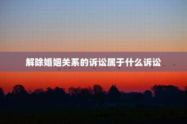 解除婚姻关系的诉讼属于什么诉讼