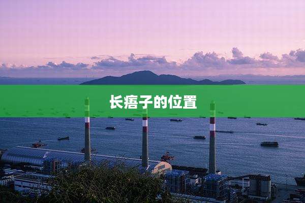 长痦子的位置