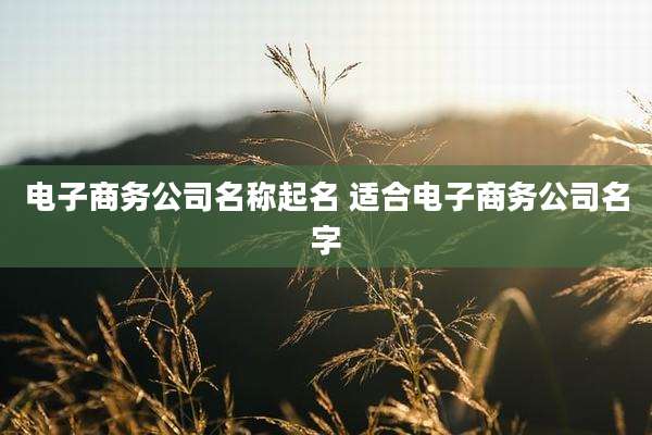 电子商务公司名称起名 适合电子商务公司名字