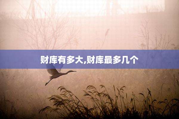 财库有多大,财库最多几个