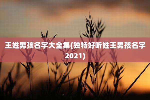 王姓男孩名字大全集(独特好听姓王男孩名字2021)