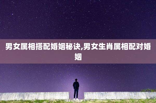 男女属相搭配婚姻秘诀,男女生肖属相配对婚姻