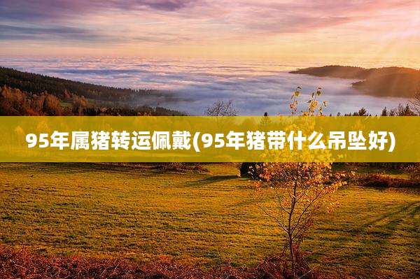 95年属猪转运佩戴(95年猪带什么吊坠好)