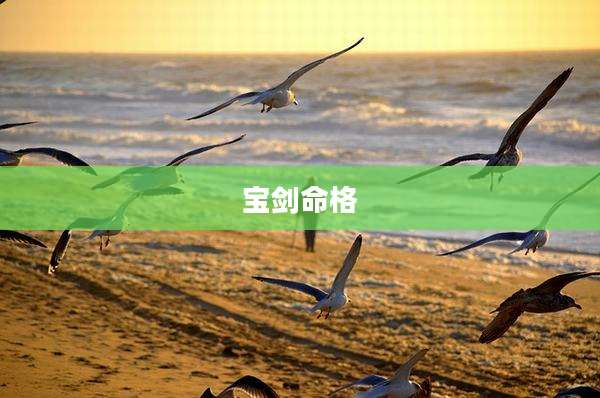 宝剑命格