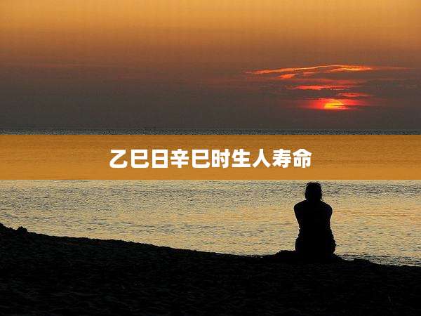 乙巳日辛巳时生人寿命