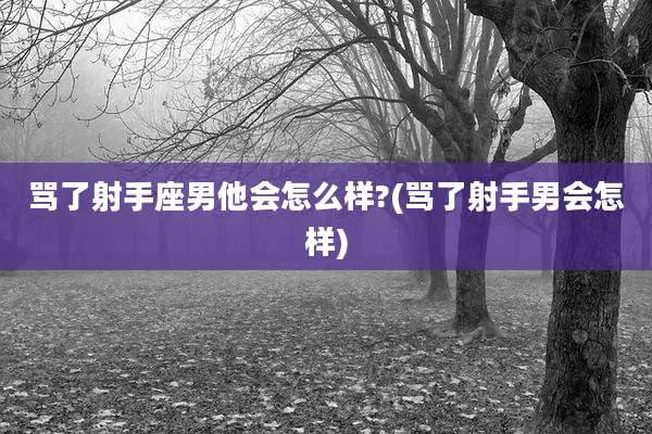 骂了射手座男他会怎么样?(骂了射手男会怎样)