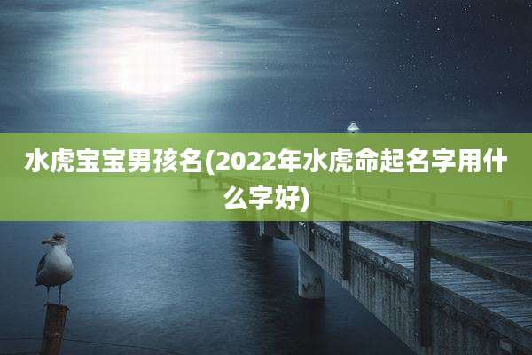 水虎宝宝男孩名(2022年水虎命起名字用什么字好)