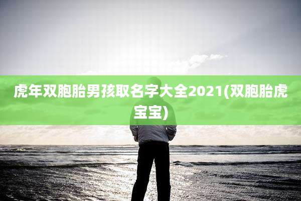 虎年双胞胎男孩取名字大全2021(双胞胎虎宝宝)
