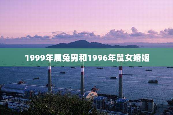 1999年属兔男和1996年鼠女婚姻