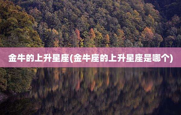 金牛的上升星座(金牛座的上升星座是哪个)