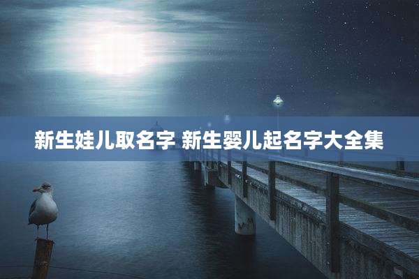 新生娃儿取名字 新生婴儿起名字大全集