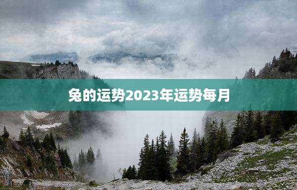 兔的运势2023年运势每月