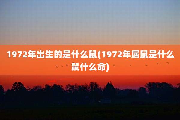 1972年出生的是什么鼠(1972年属鼠是什么鼠什么命)
