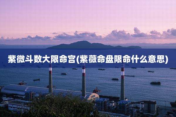 紫微斗数大限命宫(紫薇命盘限命什么意思)