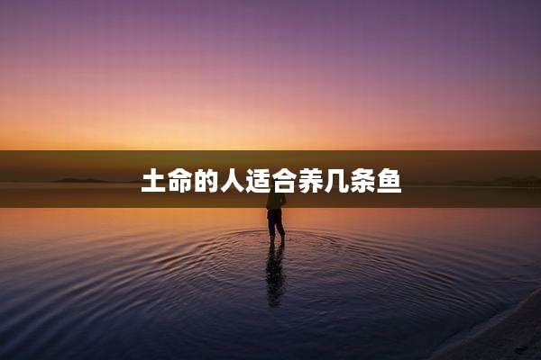 土命的人适合养几条鱼