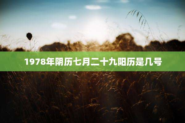 1978年阴历七月二十九阳历是几号