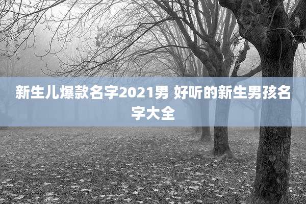新生儿爆款名字2021男 好听的新生男孩名字大全