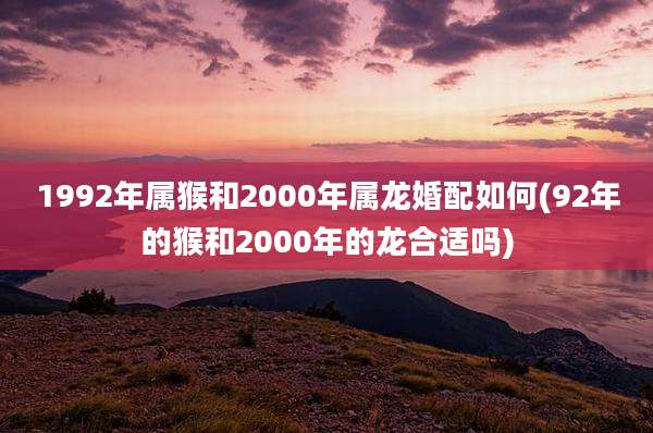 1992年属猴和2000年属龙婚配如何(92年的猴和2000年的龙合适吗)