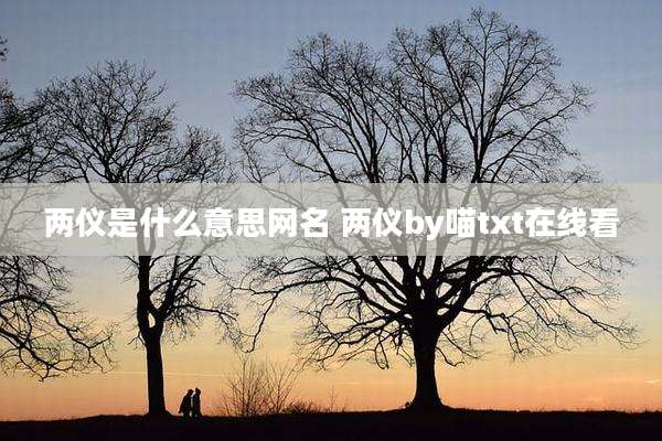两仪是什么意思网名 两仪by喵txt在线看