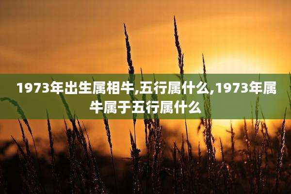 1973年出生属相牛,五行属什么,1973年属牛属于五行属什么