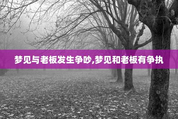 梦见与老板发生争吵,梦见和老板有争执