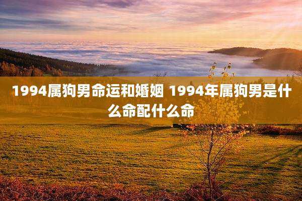 1994属狗男命运和婚姻 1994年属狗男是什么命配什么命