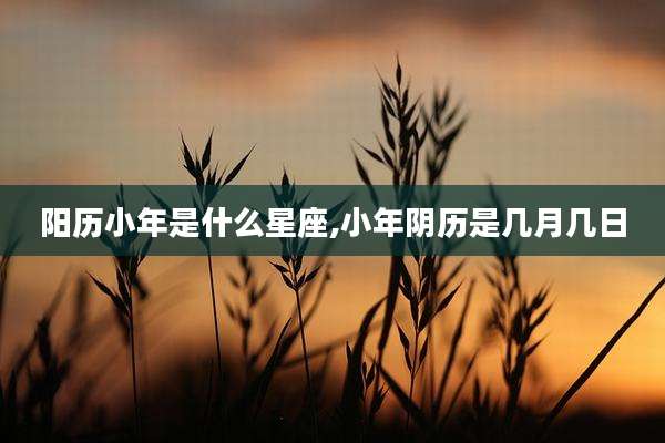 阳历小年是什么星座,小年阴历是几月几日