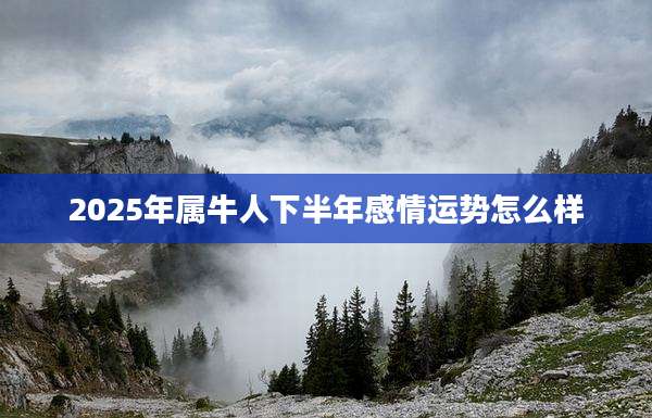 2025年属牛人下半年感情运势怎么样