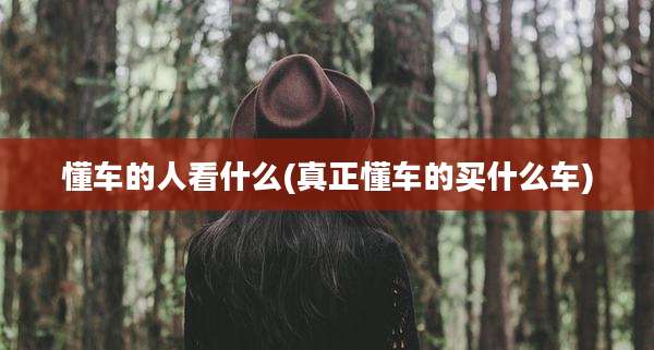 懂车的人看什么(真正懂车的买什么车)