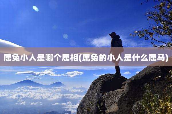 属兔小人是哪个属相(属兔的小人是什么属马)