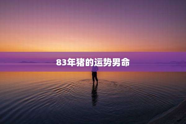 83年猪的运势男命