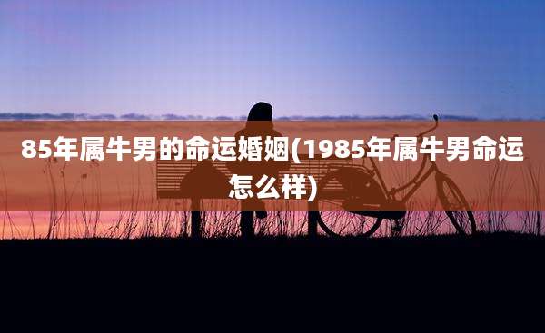 85年属牛男的命运婚姻(1985年属牛男命运怎么样)