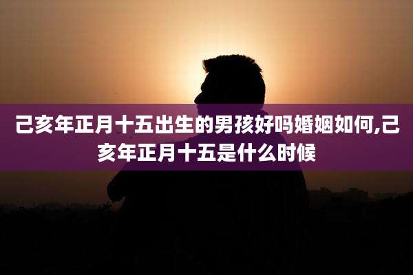 己亥年正月十五出生的男孩好吗婚姻如何,己亥年正月十五是什么时候