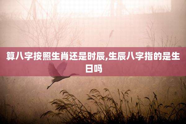 算八字按照生肖还是时辰,生辰八字指的是生日吗