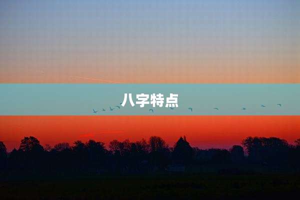 八字特点